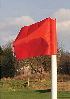 Precision Pro Corner Flag image 0